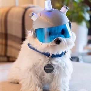 Meet your Posher, Jasper